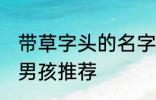 带草字头的名字男孩 带草字头的名字男孩推荐