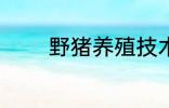 野猪养殖技术 野猪养殖技巧