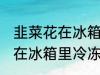 韭菜花在冰箱里冷冻能放多久 韭菜花在冰箱里冷冻可以放多长时间