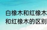 白橡木和红橡木的区别是什么 白橡木和红橡木的区别介绍