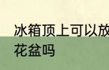 冰箱顶上可以放花盆吗 冰箱顶上能放花盆吗