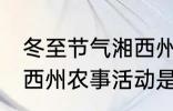 冬至节气湘西州农事活动 冬至节气湘西州农事活动是什么