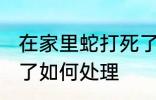 在家里蛇打死了怎么办 在家里蛇打死了如何处理