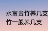 水富贵竹养几支最旺事业运 水养富贵竹一般养几支