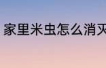 家里米虫怎么消灭 家里米虫如何消灭