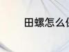 田螺怎么保存 如何存放田螺