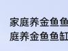 家庭养金鱼鱼缸里放什么水草好呢 家庭养金鱼鱼缸里放哪种水草好呢