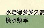 水培绿萝多久需要换一次水 水培绿萝换水频率