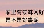 家里有蜘蛛网好事坏事 家里有蜘蛛网是不是好事呢