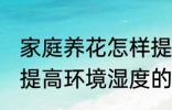 家庭养花怎样提高环境湿度 家庭养花提高环境湿度的技巧