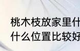 桃木枝放家里什么位置 桃木枝放家里什么位置比较好